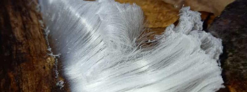 Haareis : Aufnahme aus den Wäldern des Hunsrück