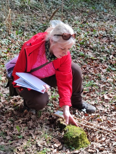 Mooswanderung April 2026