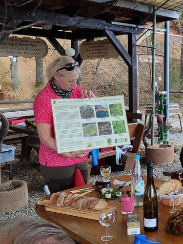 Mooswanderung April 2026