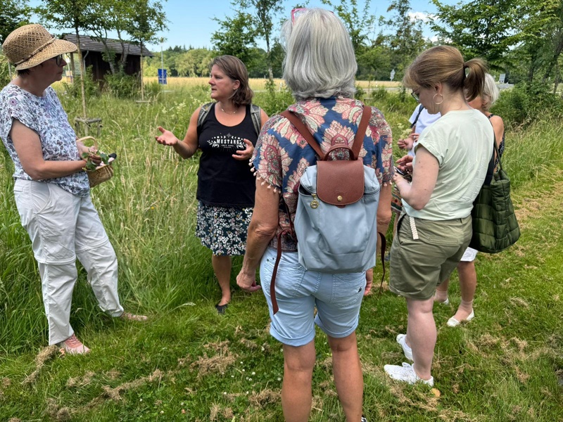 nabe kräuterwanderung 20260620 01