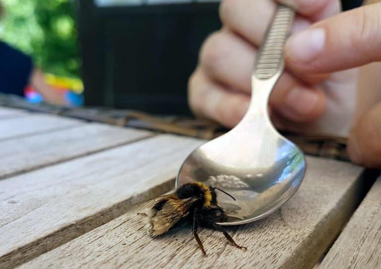 Foto: Christian Kaehler – stock.adobe.com