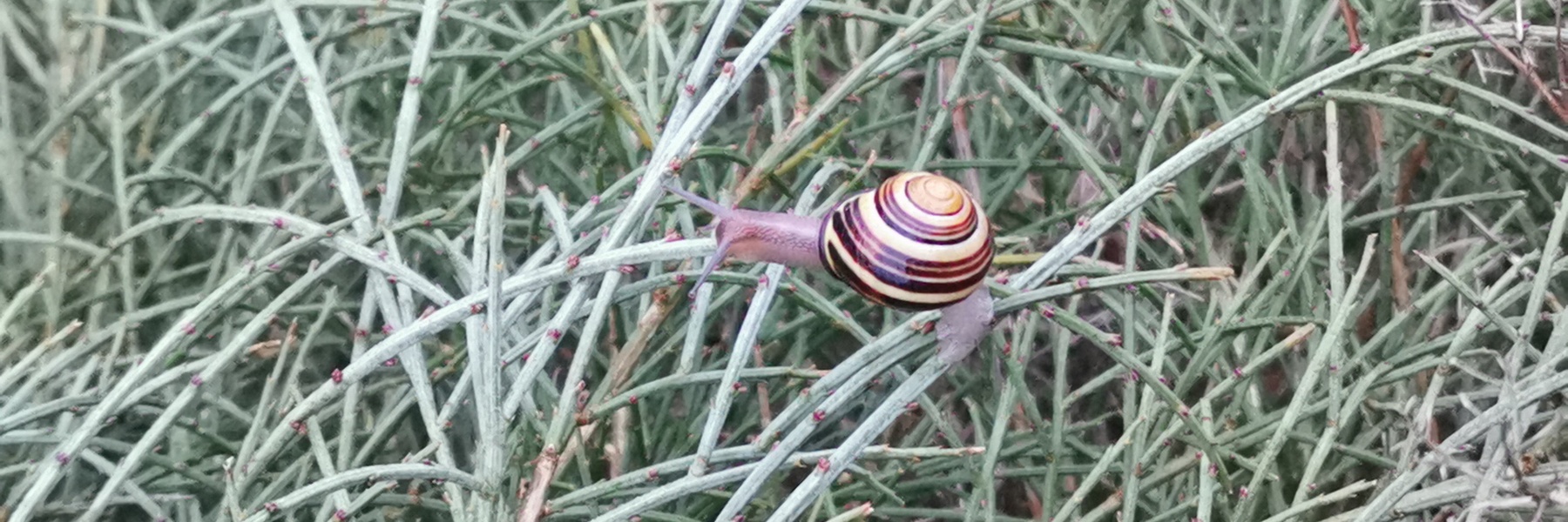 Natur bewahren e.V. Winter 2026