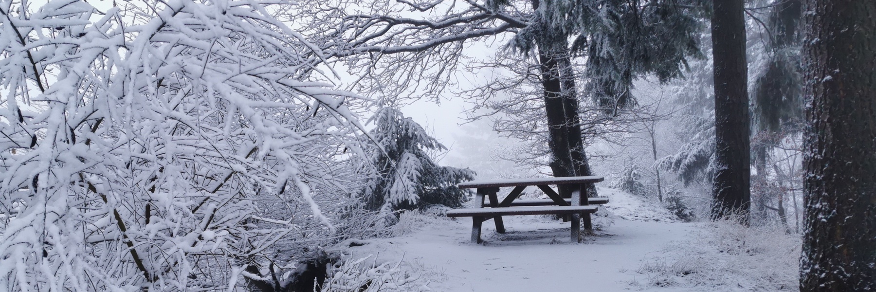 Natur bewahren e.V. Winter 2026